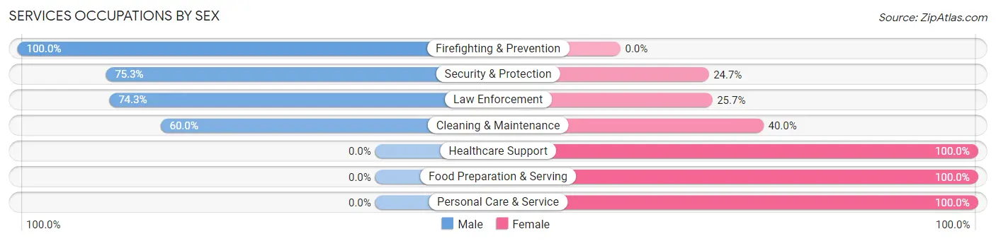 Services Occupations by Sex in Zip Code 30631