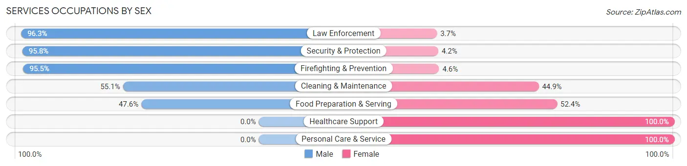 Services Occupations by Sex in Zip Code 30633