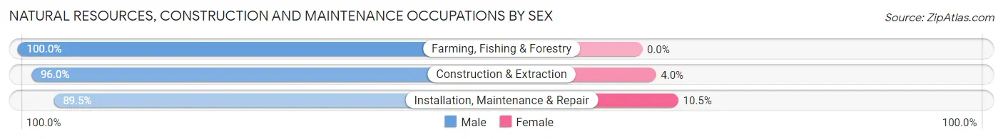 Natural Resources, Construction and Maintenance Occupations by Sex in Zip Code 30643