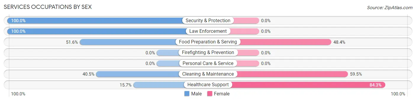 Services Occupations by Sex in Zip Code 30648