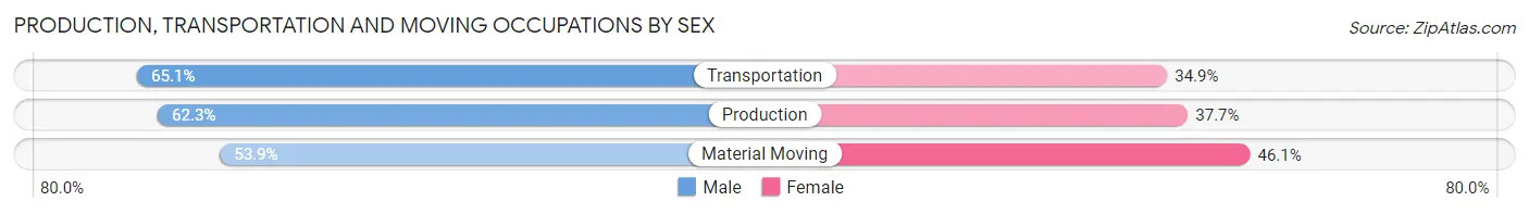 Production, Transportation and Moving Occupations by Sex in Zip Code 30677