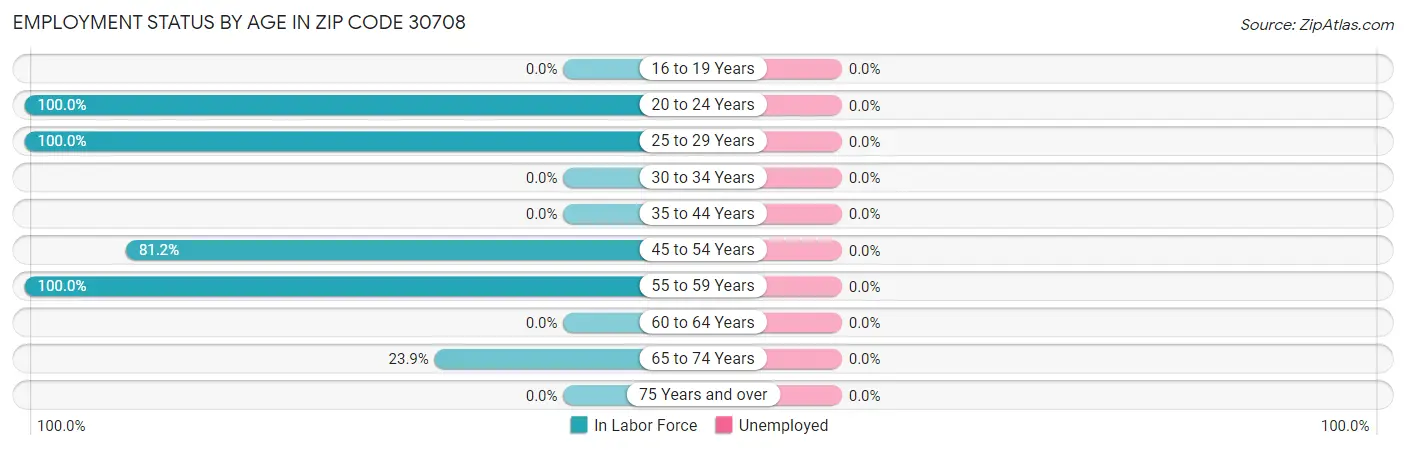Employment Status by Age in Zip Code 30708