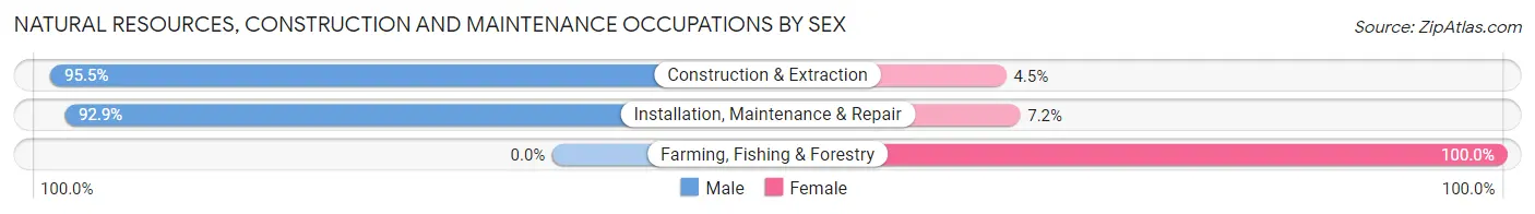 Natural Resources, Construction and Maintenance Occupations by Sex in Zip Code 30720