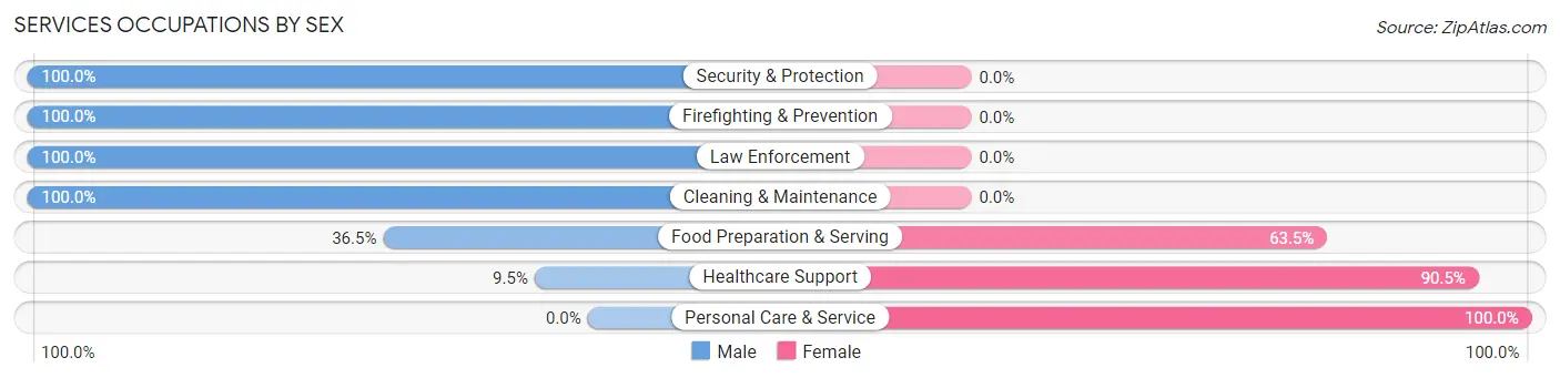 Services Occupations by Sex in Zip Code 30725