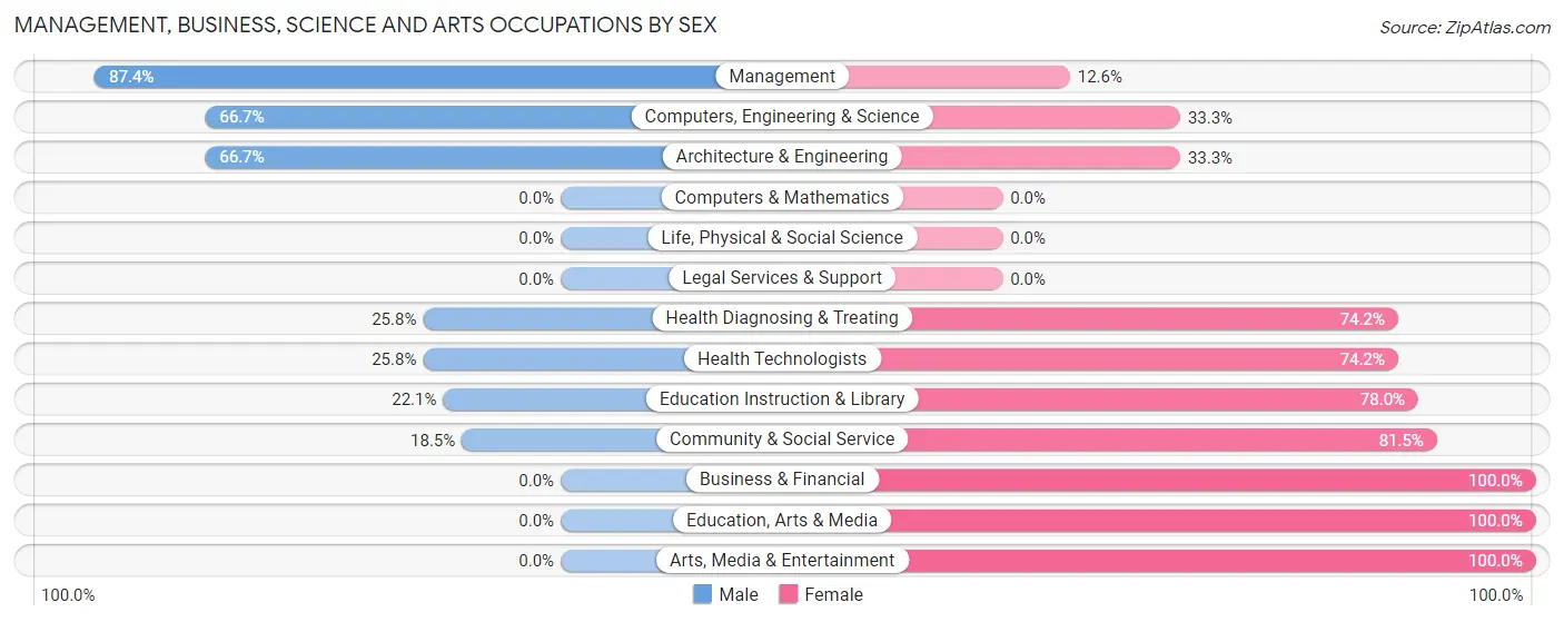 Management, Business, Science and Arts Occupations by Sex in Zip Code 30731