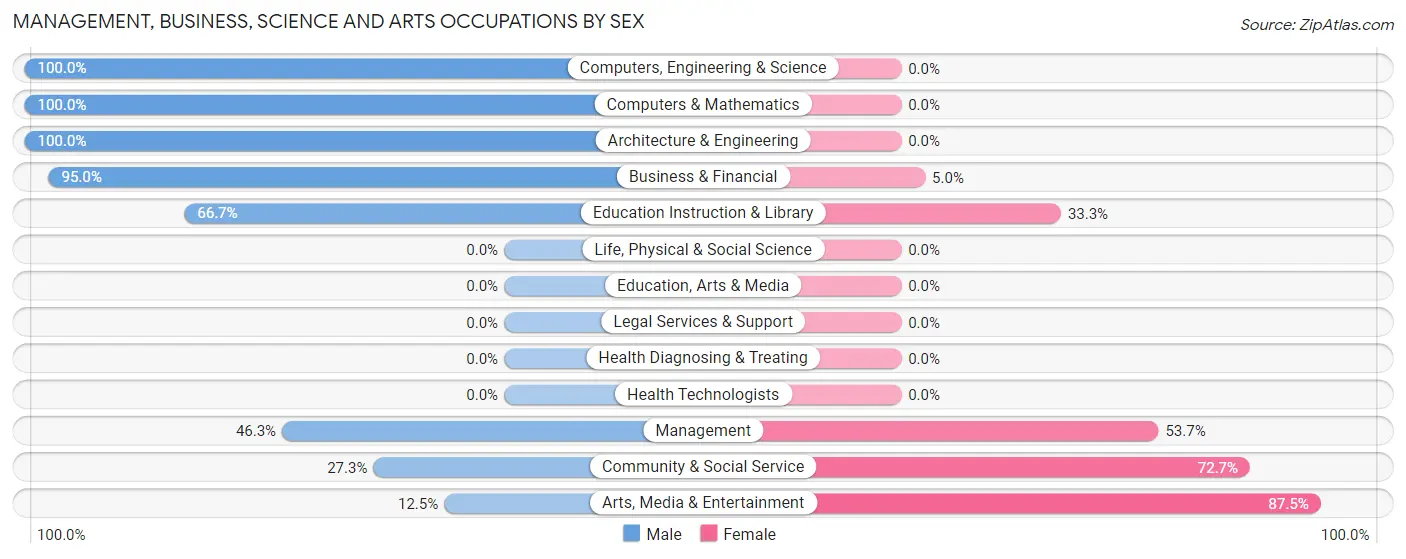 Management, Business, Science and Arts Occupations by Sex in Zip Code 30733