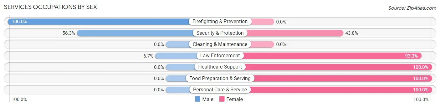 Services Occupations by Sex in Zip Code 30733