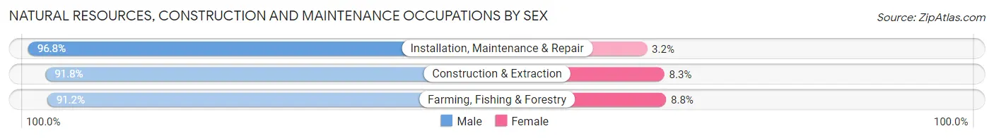 Natural Resources, Construction and Maintenance Occupations by Sex in Zip Code 30736