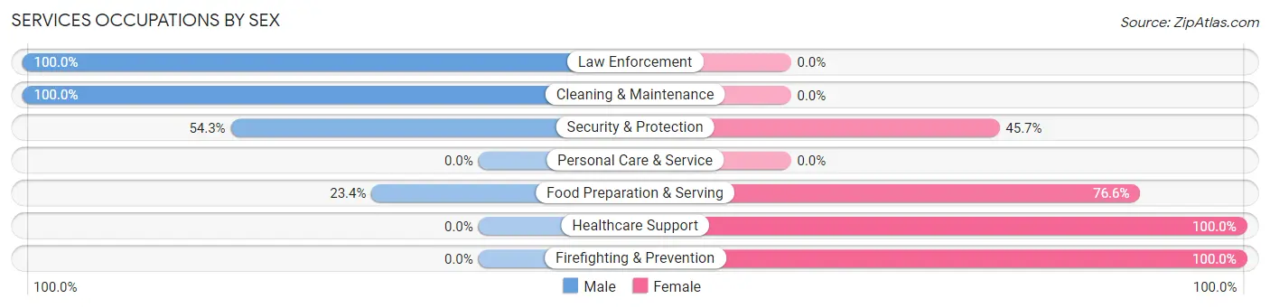 Services Occupations by Sex in Zip Code 30738