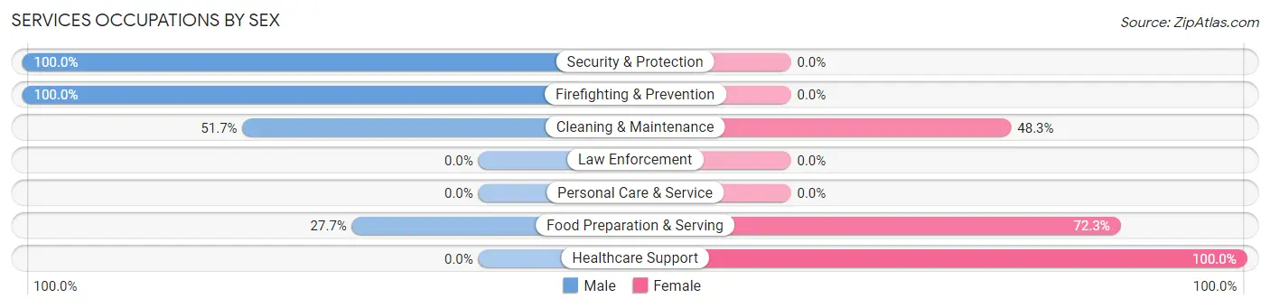 Services Occupations by Sex in Zip Code 30739