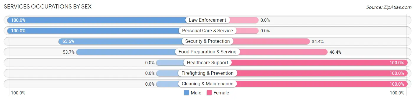 Services Occupations by Sex in Zip Code 30742