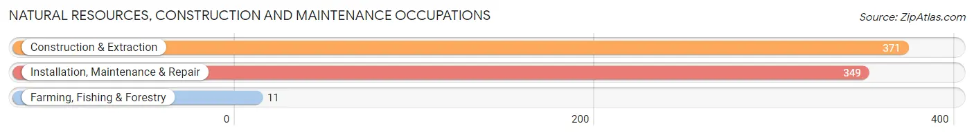 Natural Resources, Construction and Maintenance Occupations in Zip Code 30747