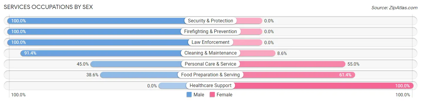Services Occupations by Sex in Zip Code 30802