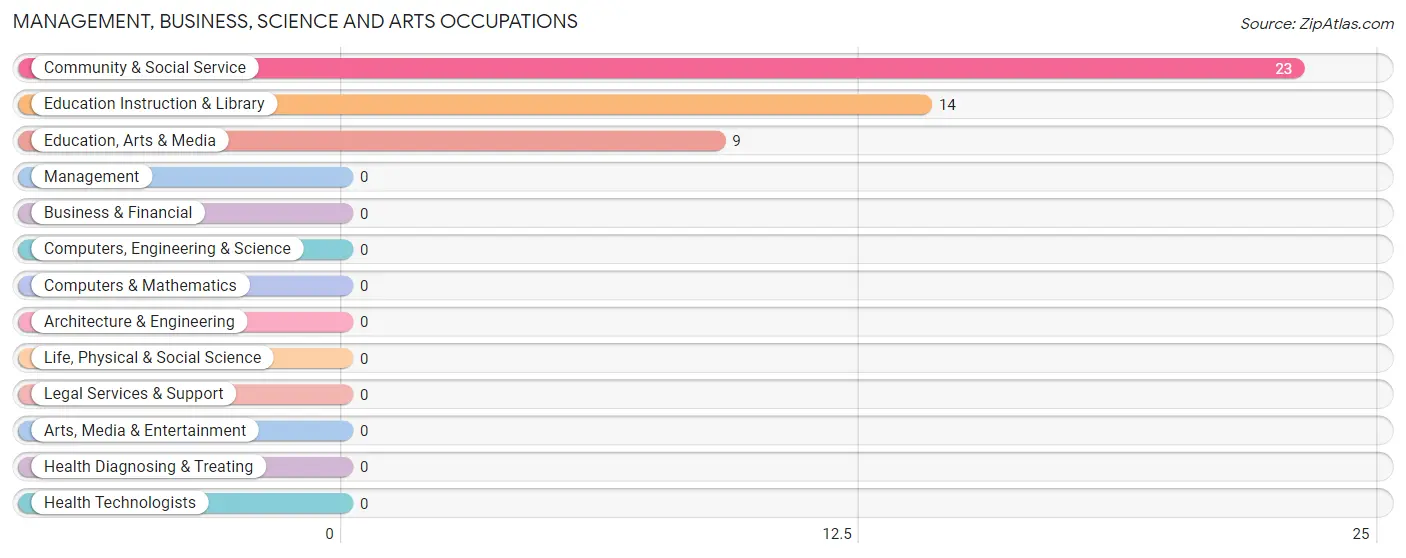 Management, Business, Science and Arts Occupations in Zip Code 30807