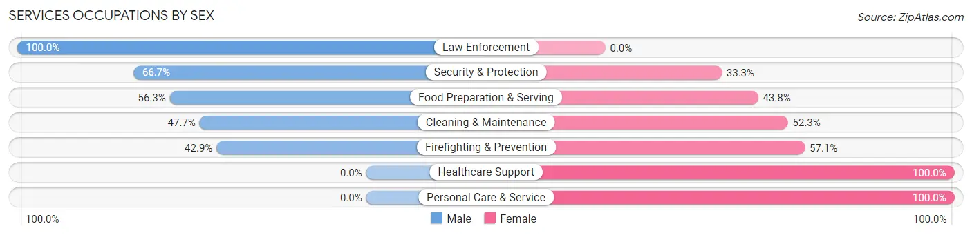 Services Occupations by Sex in Zip Code 30808
