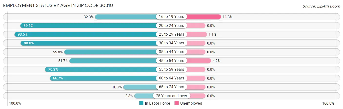 Employment Status by Age in Zip Code 30810