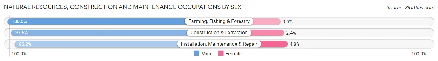 Natural Resources, Construction and Maintenance Occupations by Sex in Zip Code 30813
