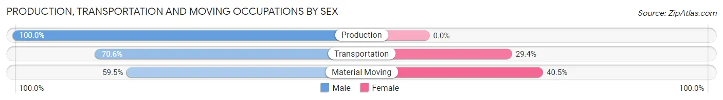 Production, Transportation and Moving Occupations by Sex in Zip Code 30816