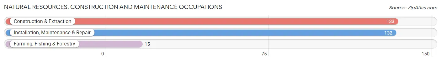 Natural Resources, Construction and Maintenance Occupations in Zip Code 30901