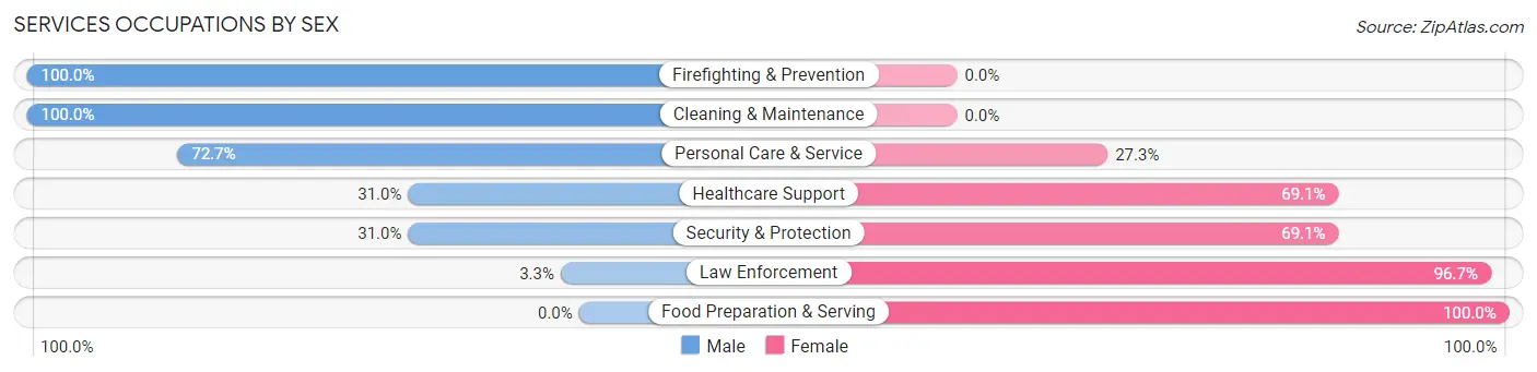Services Occupations by Sex in Zip Code 31001