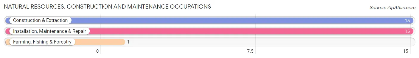 Natural Resources, Construction and Maintenance Occupations in Zip Code 31007