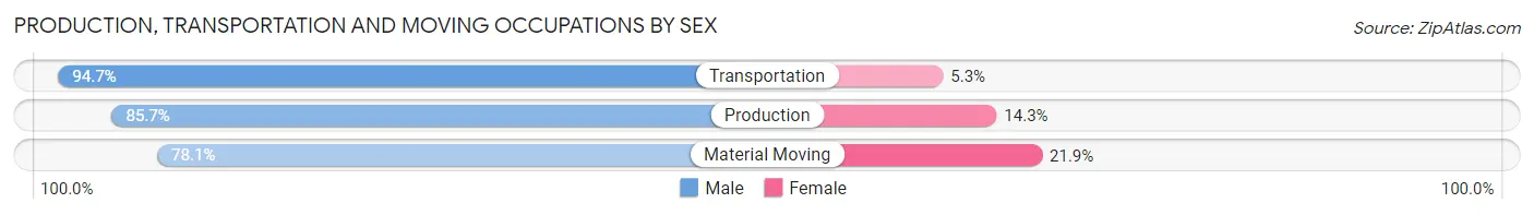 Production, Transportation and Moving Occupations by Sex in Zip Code 31008