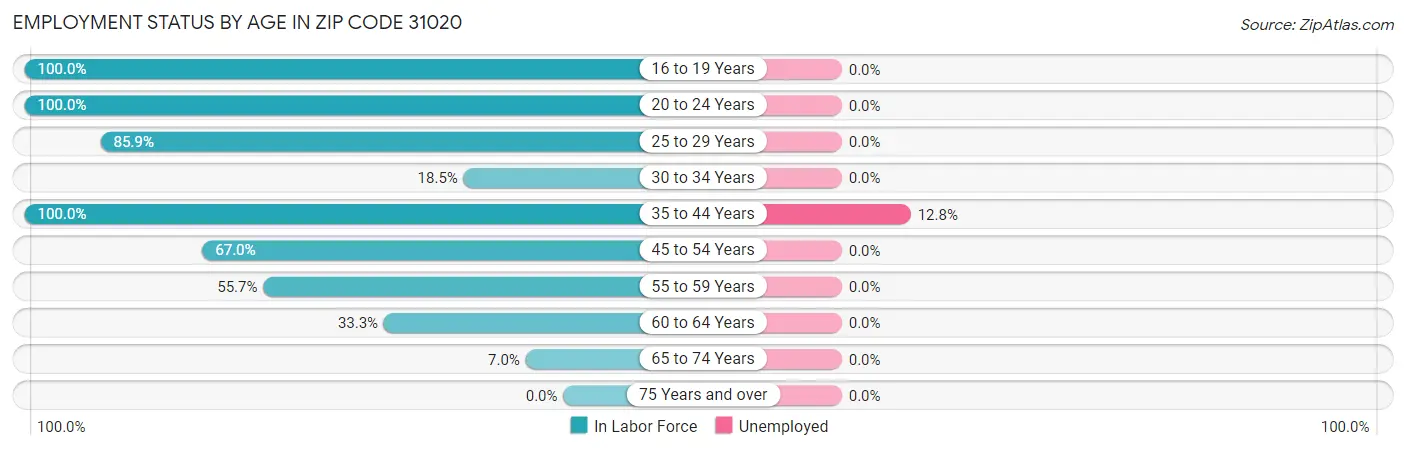 Employment Status by Age in Zip Code 31020