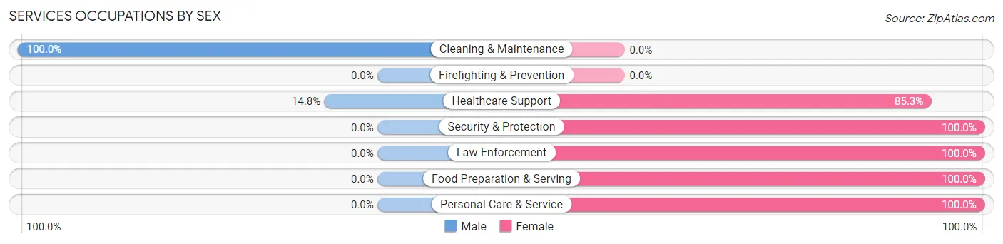 Services Occupations by Sex in Zip Code 31020