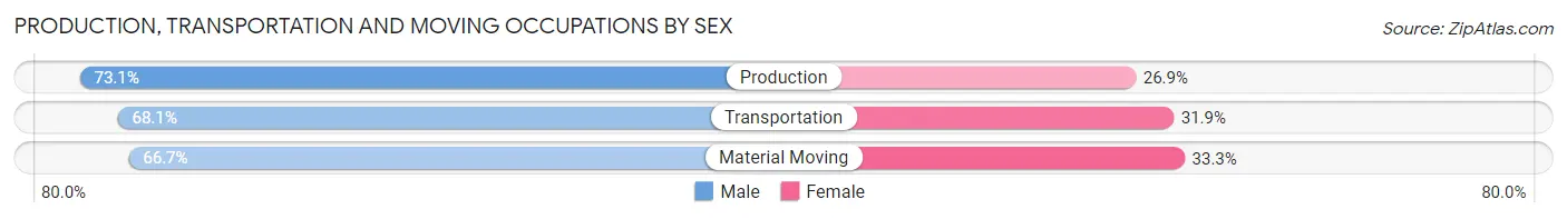 Production, Transportation and Moving Occupations by Sex in Zip Code 31021