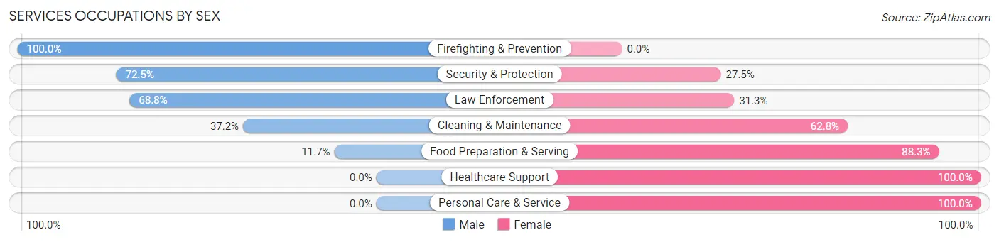 Services Occupations by Sex in Zip Code 31023