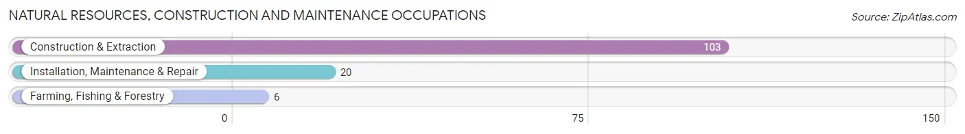 Natural Resources, Construction and Maintenance Occupations in Zip Code 31028