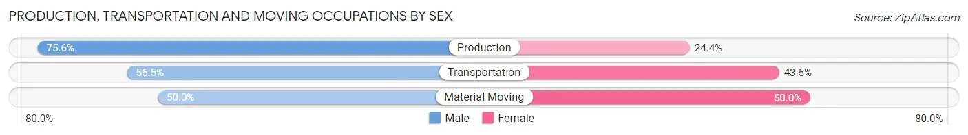 Production, Transportation and Moving Occupations by Sex in Zip Code 31028
