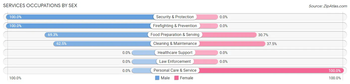 Services Occupations by Sex in Zip Code 31028