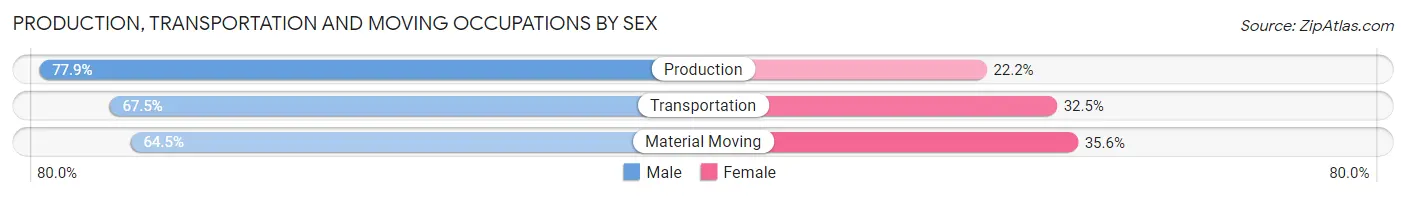 Production, Transportation and Moving Occupations by Sex in Zip Code 31030