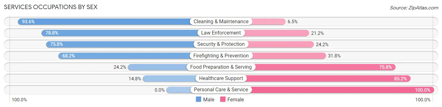Services Occupations by Sex in Zip Code 31031