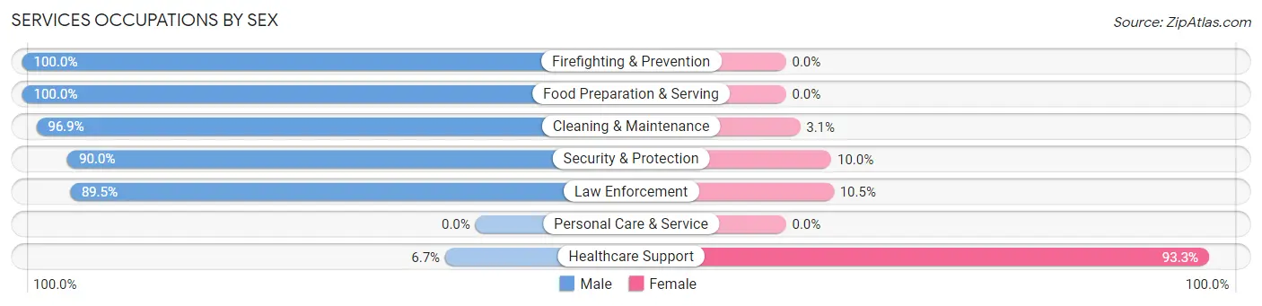 Services Occupations by Sex in Zip Code 31035
