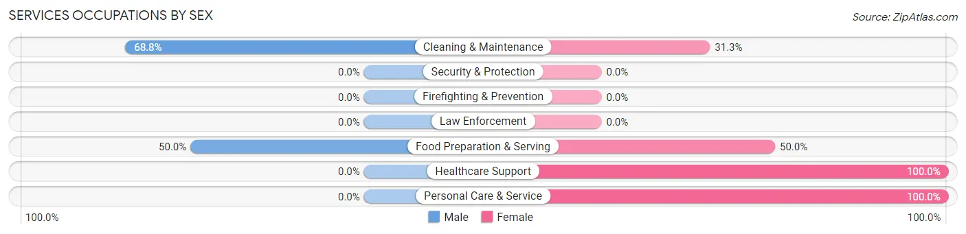 Services Occupations by Sex in Zip Code 31037