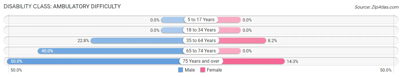 Disability in Zip Code 31041: <span>Ambulatory Difficulty</span>