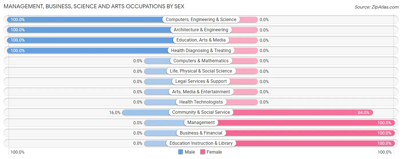 Management, Business, Science and Arts Occupations by Sex in Zip Code 31042