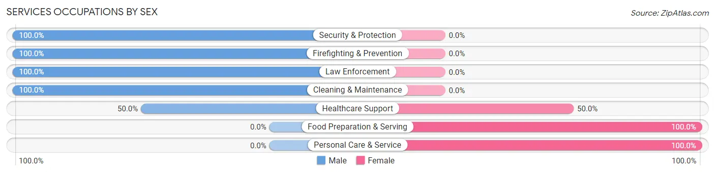 Services Occupations by Sex in Zip Code 31046