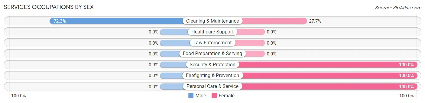 Services Occupations by Sex in Zip Code 31058