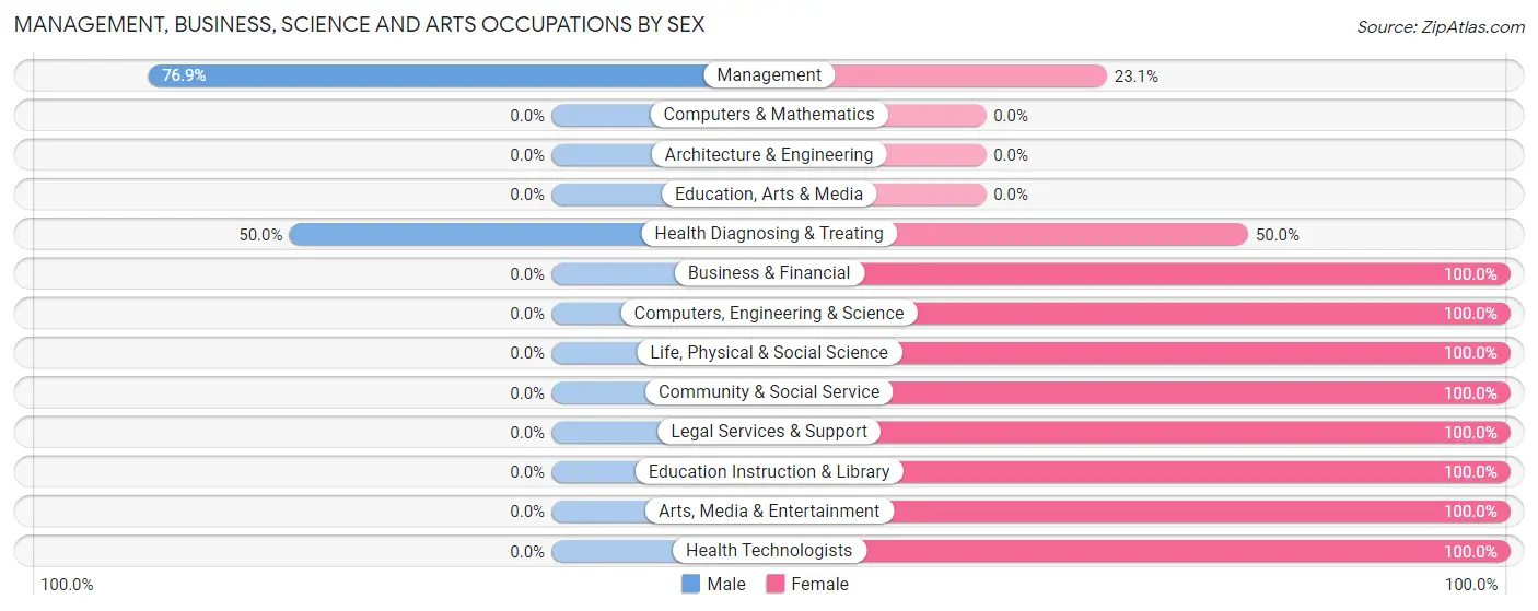 Management, Business, Science and Arts Occupations by Sex in Zip Code 31060