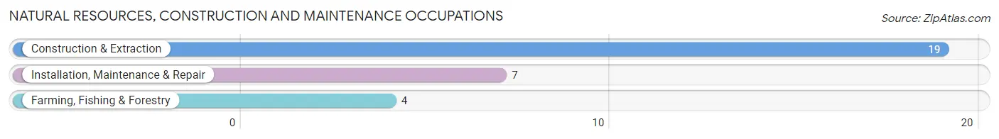 Natural Resources, Construction and Maintenance Occupations in Zip Code 31060