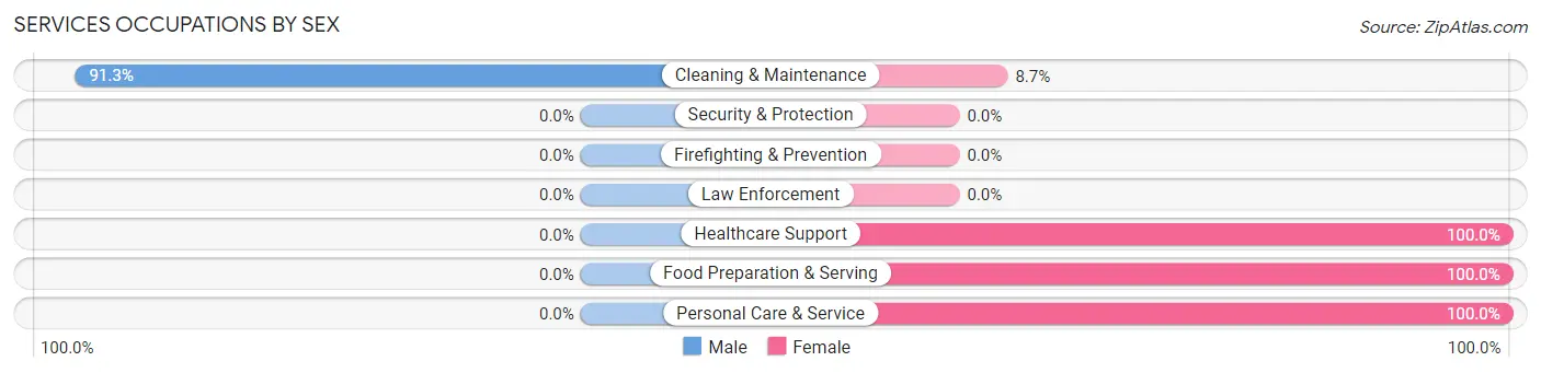 Services Occupations by Sex in Zip Code 31060