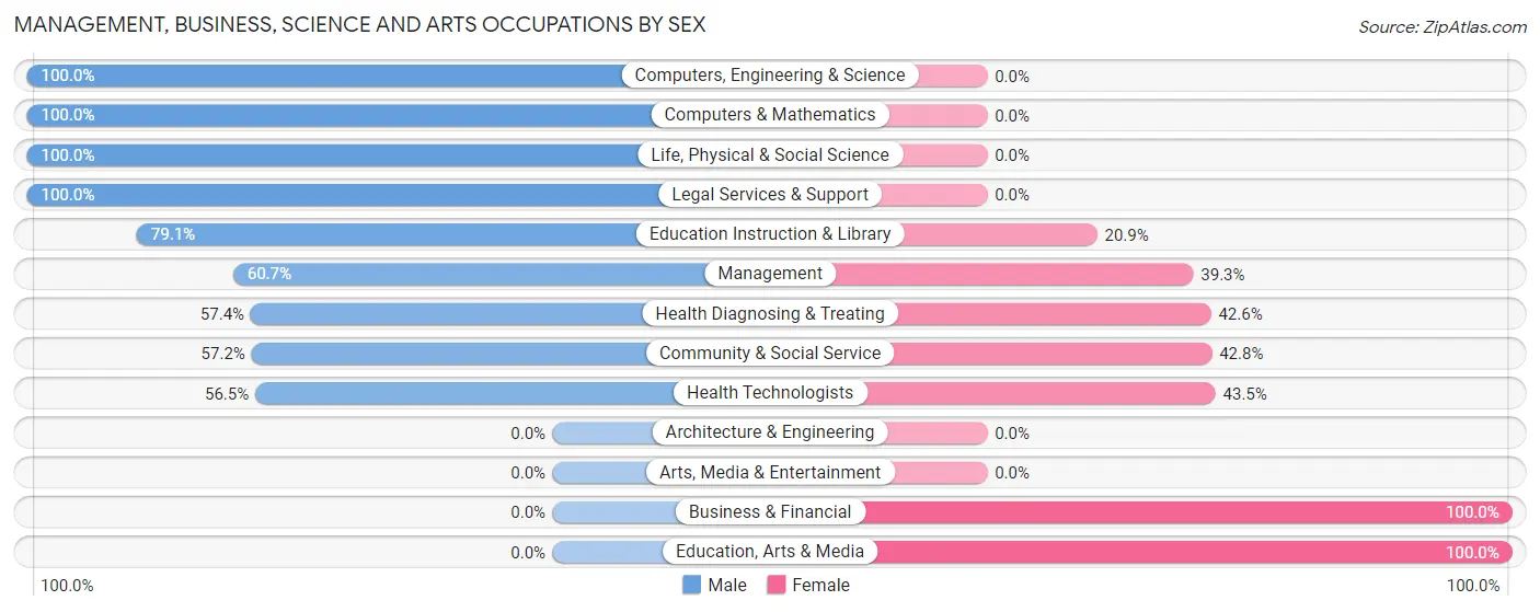 Management, Business, Science and Arts Occupations by Sex in Zip Code 31063