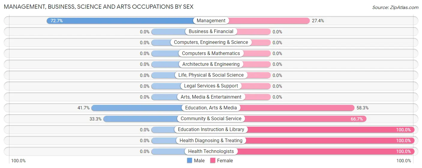 Management, Business, Science and Arts Occupations by Sex in Zip Code 31070
