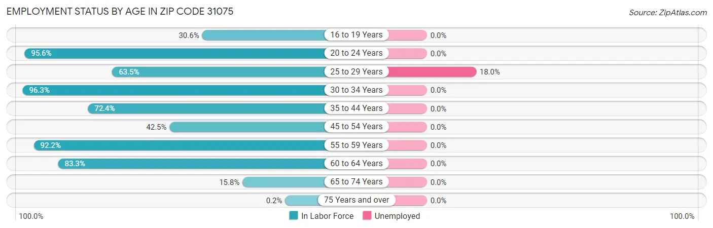 Employment Status by Age in Zip Code 31075
