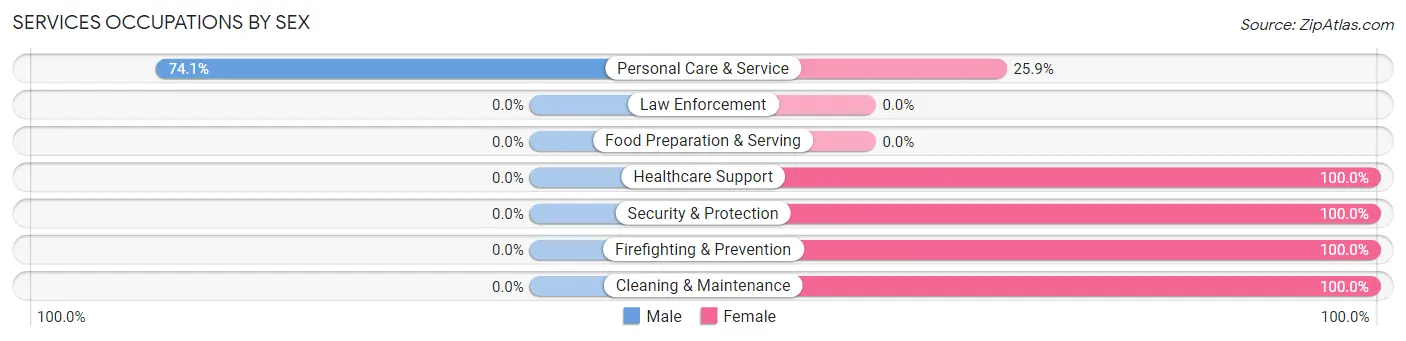 Services Occupations by Sex in Zip Code 31076