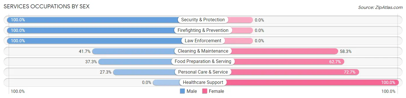 Services Occupations by Sex in Zip Code 31078