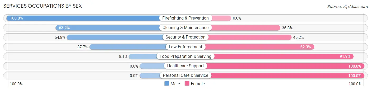 Services Occupations by Sex in Zip Code 31087
